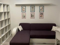 Theodor Pallady la 5 min. de metrou